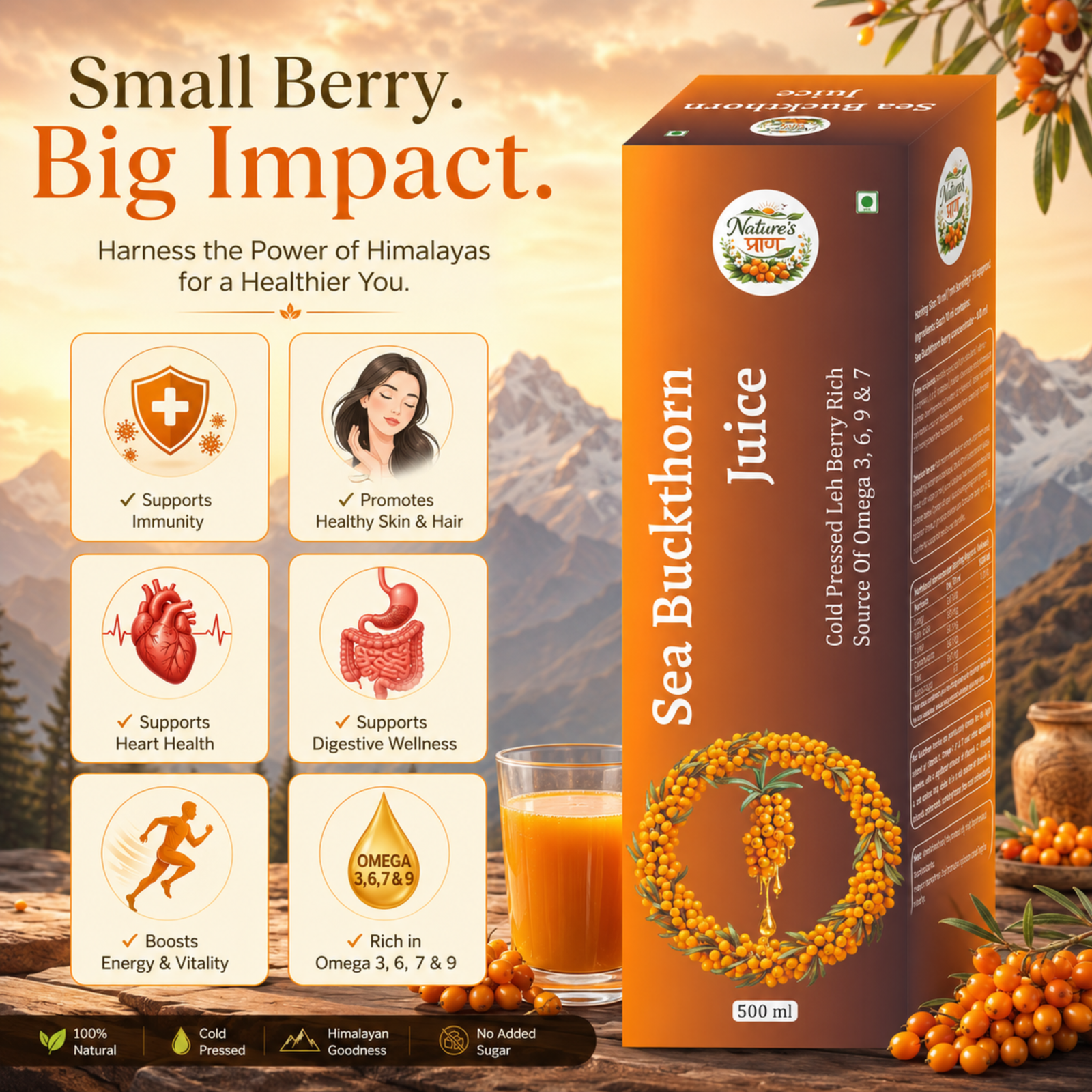Nature’s Praan Sea Buckthorn Juice 500ml | Cold Pressed Leh Berry | Omega 3, 6, 7 & 9 - Image 3